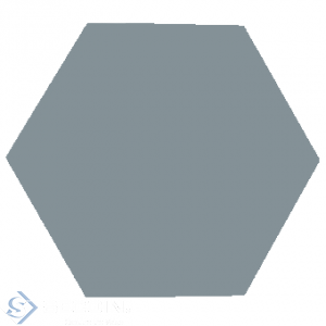 Hexagonal Tile S7005
